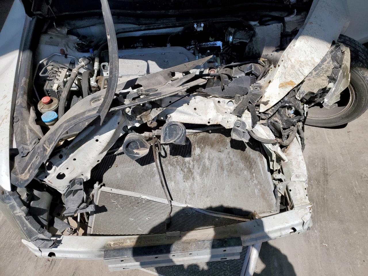 Honda Accord Exl