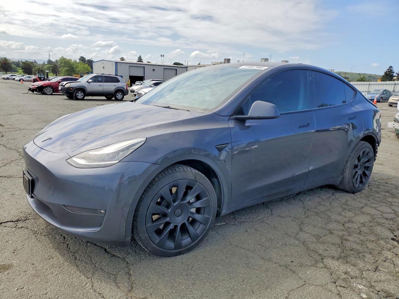 Salvage Tesla Model Y Image