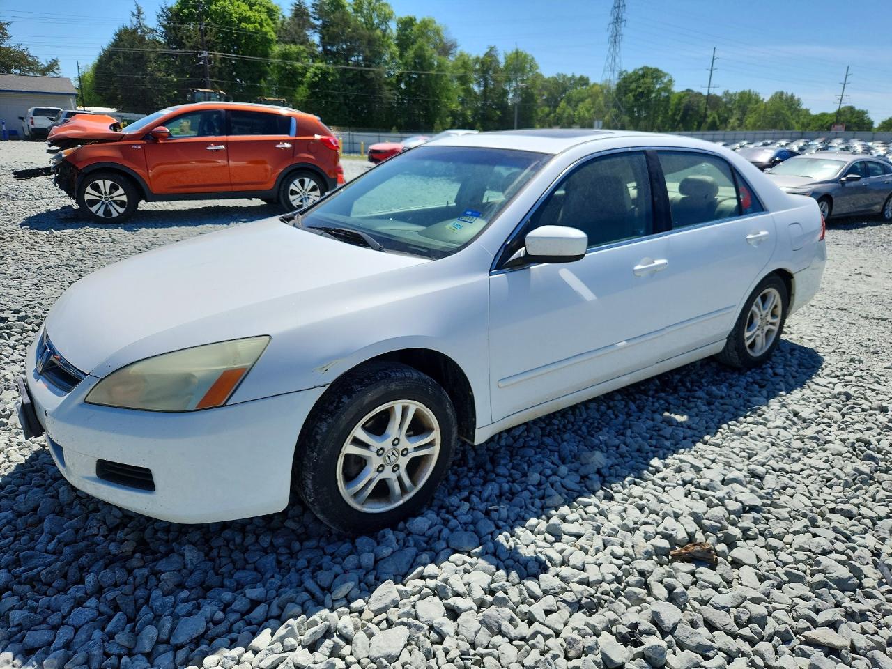 Salvage Honda Accord Image