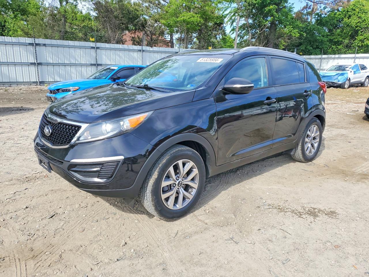 Salvage Kia Sportage Image