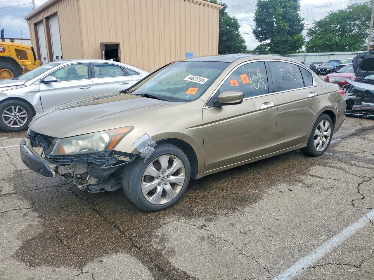 Salvage Honda Accord Image