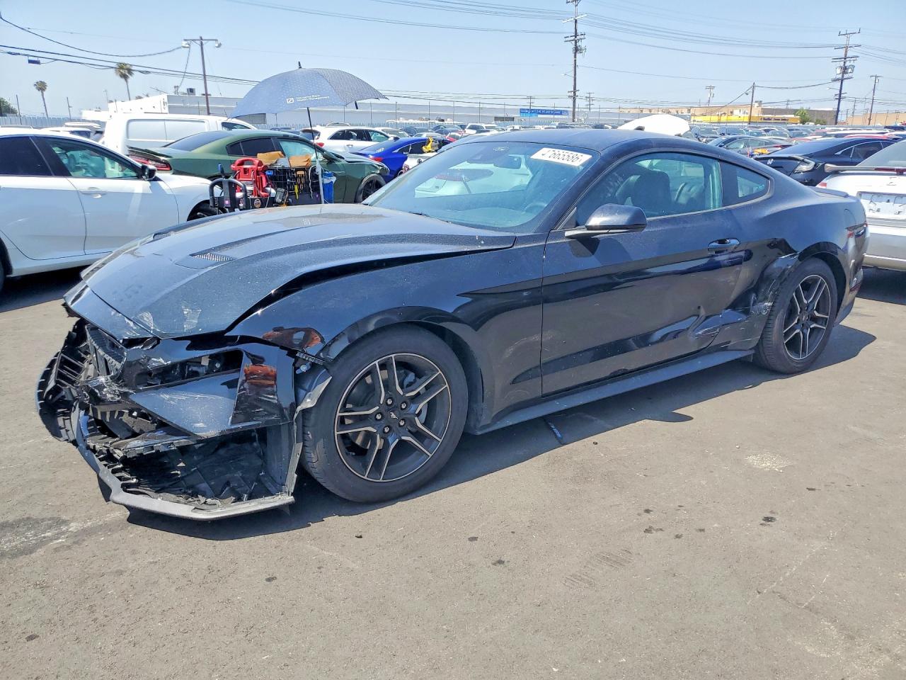 Salvage Ford Mustang Image
