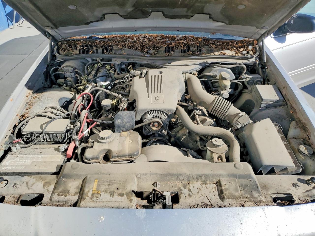 Ford Crown Vic