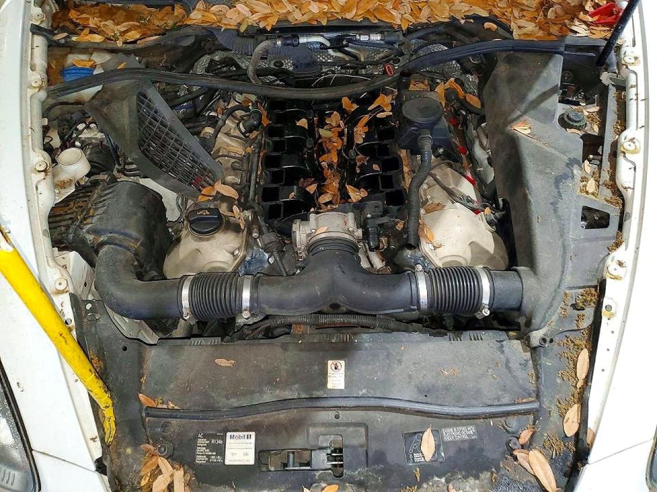 Porsche Cayenne S