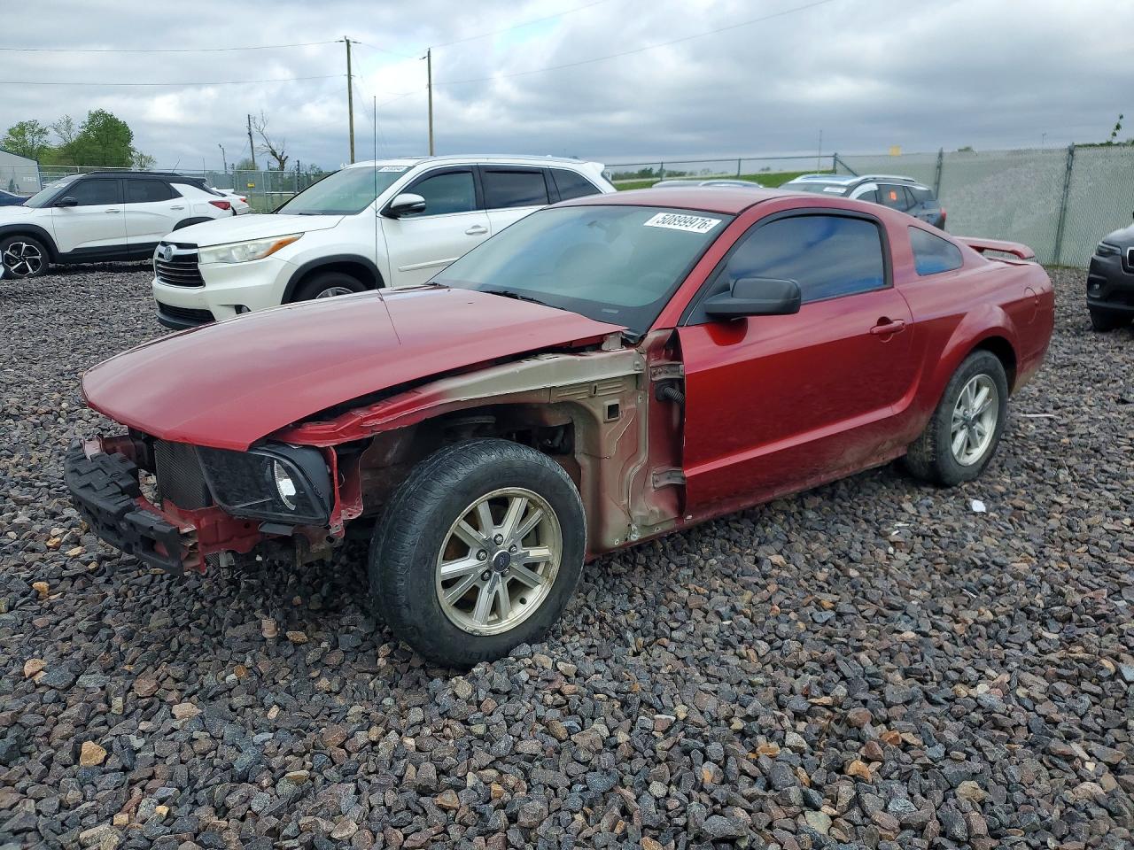 Salvage Ford Mustang Image