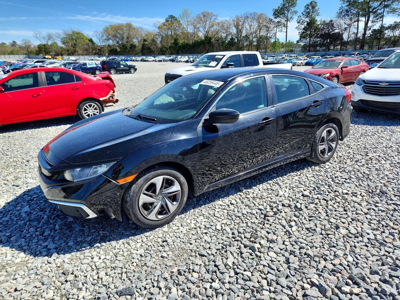 Salvage Honda Civic Image