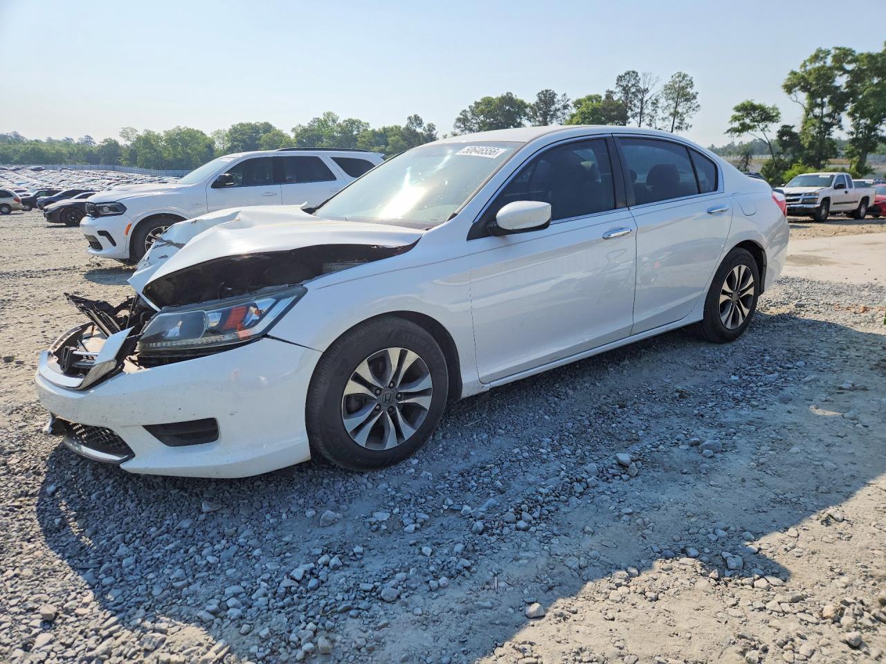 Salvage Honda Accord Image