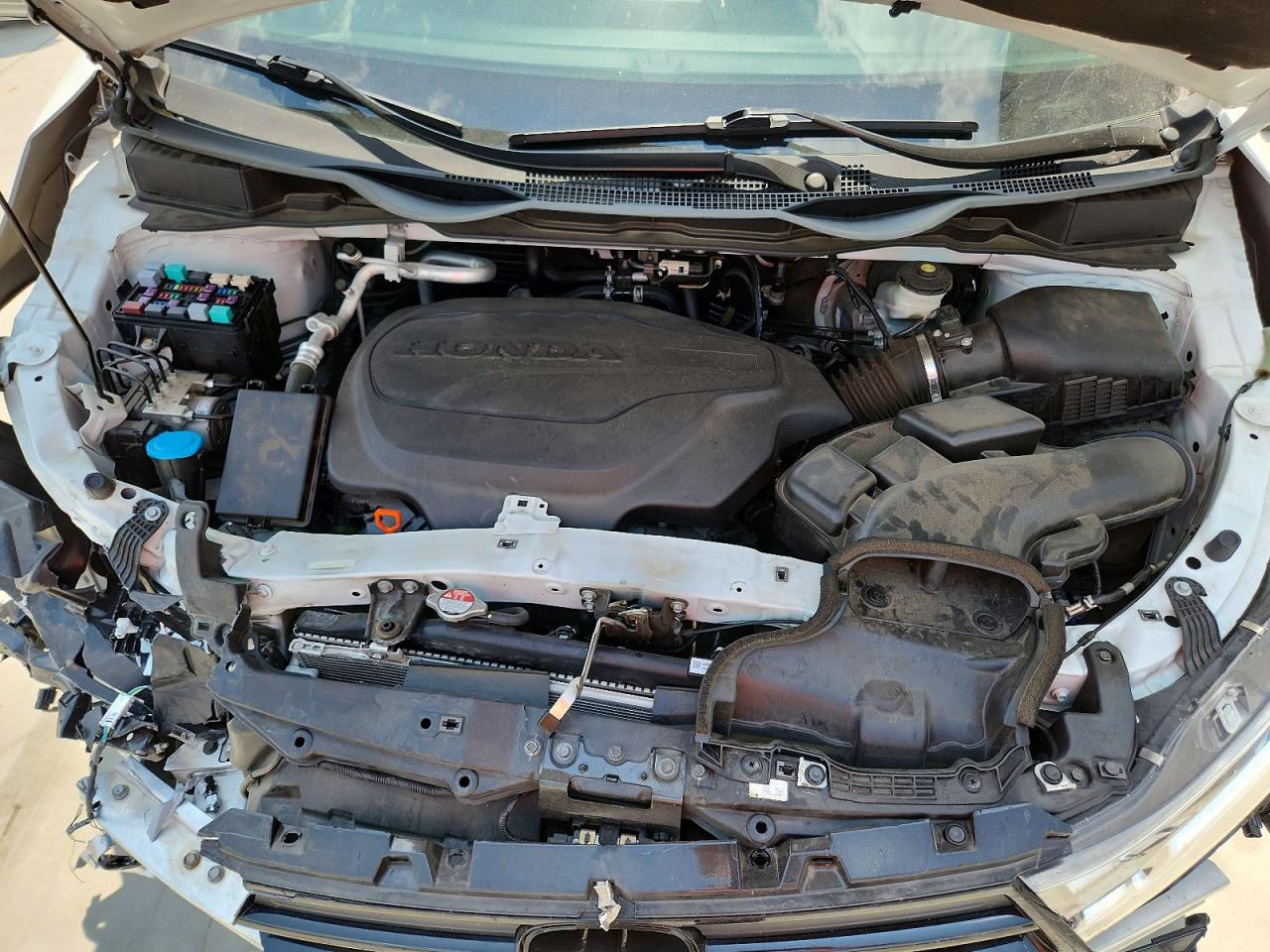 Honda Odyssey Exl
