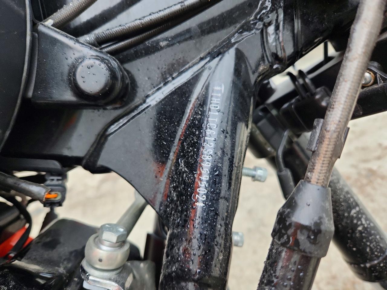 Harley-Davidson Flse