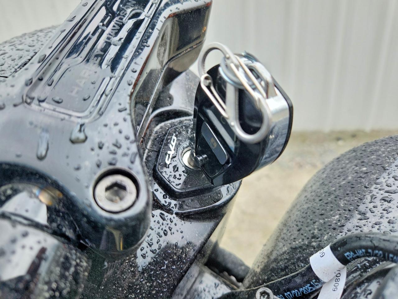 Harley-Davidson Flse