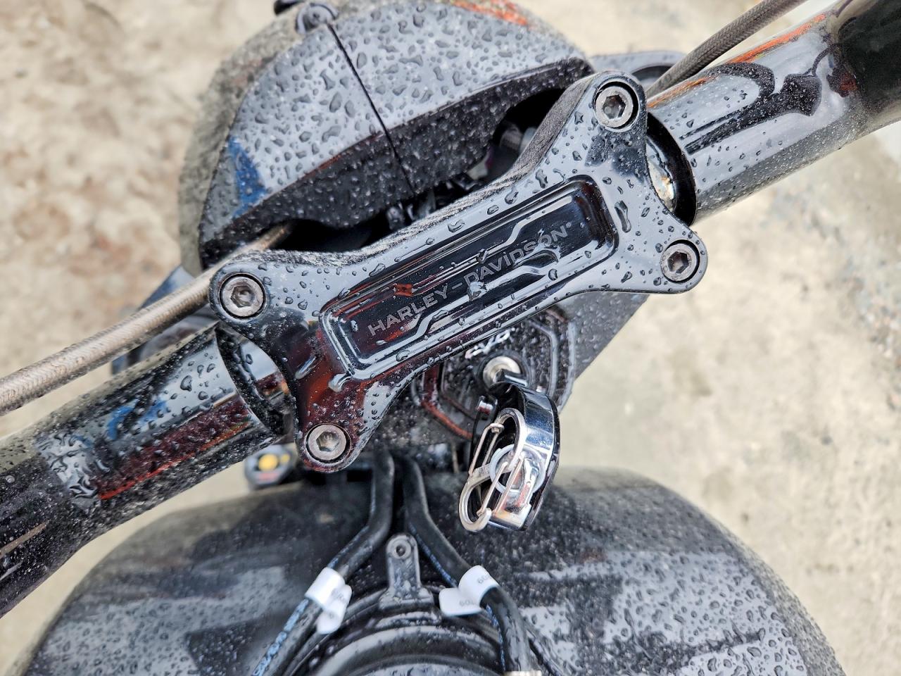 Harley-Davidson Flse
