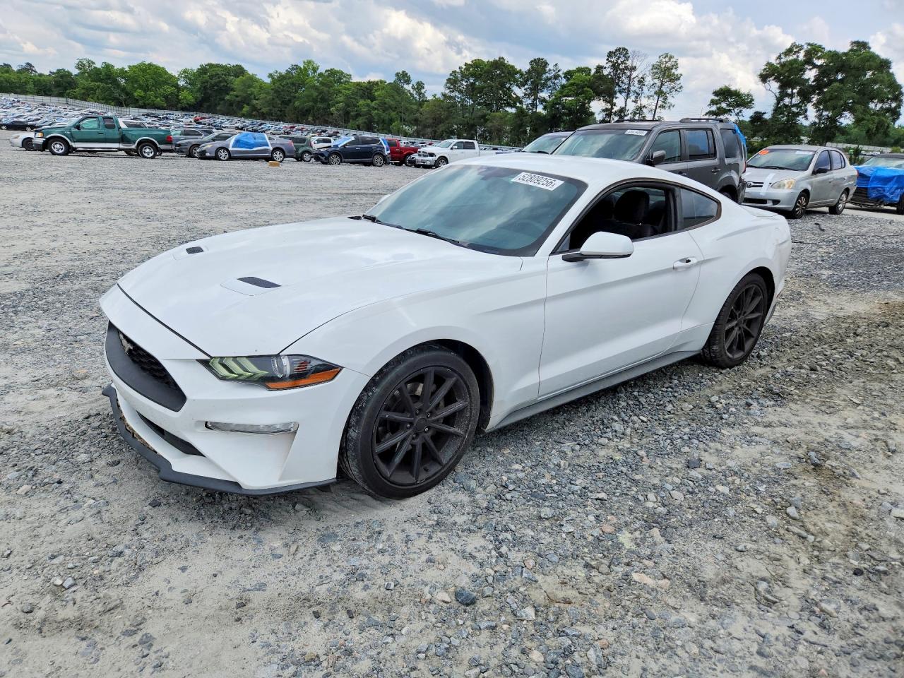 Salvage Ford Mustang Image