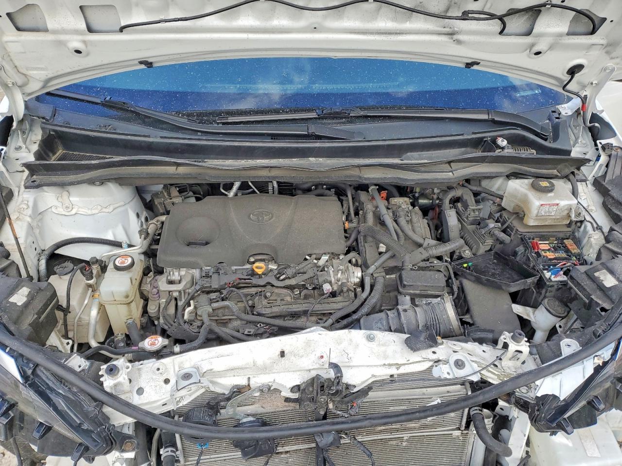 Toyota Sienna Xle 8-passenger