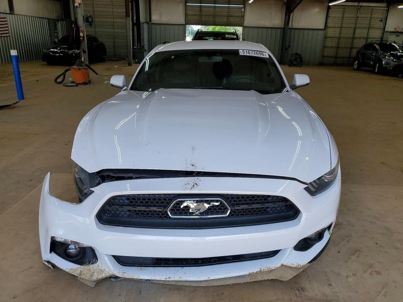 Ford Mustang 50th Anniversary