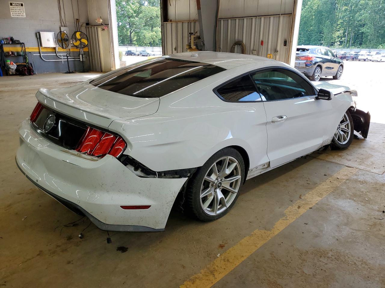 Ford Mustang 50th Anniversary