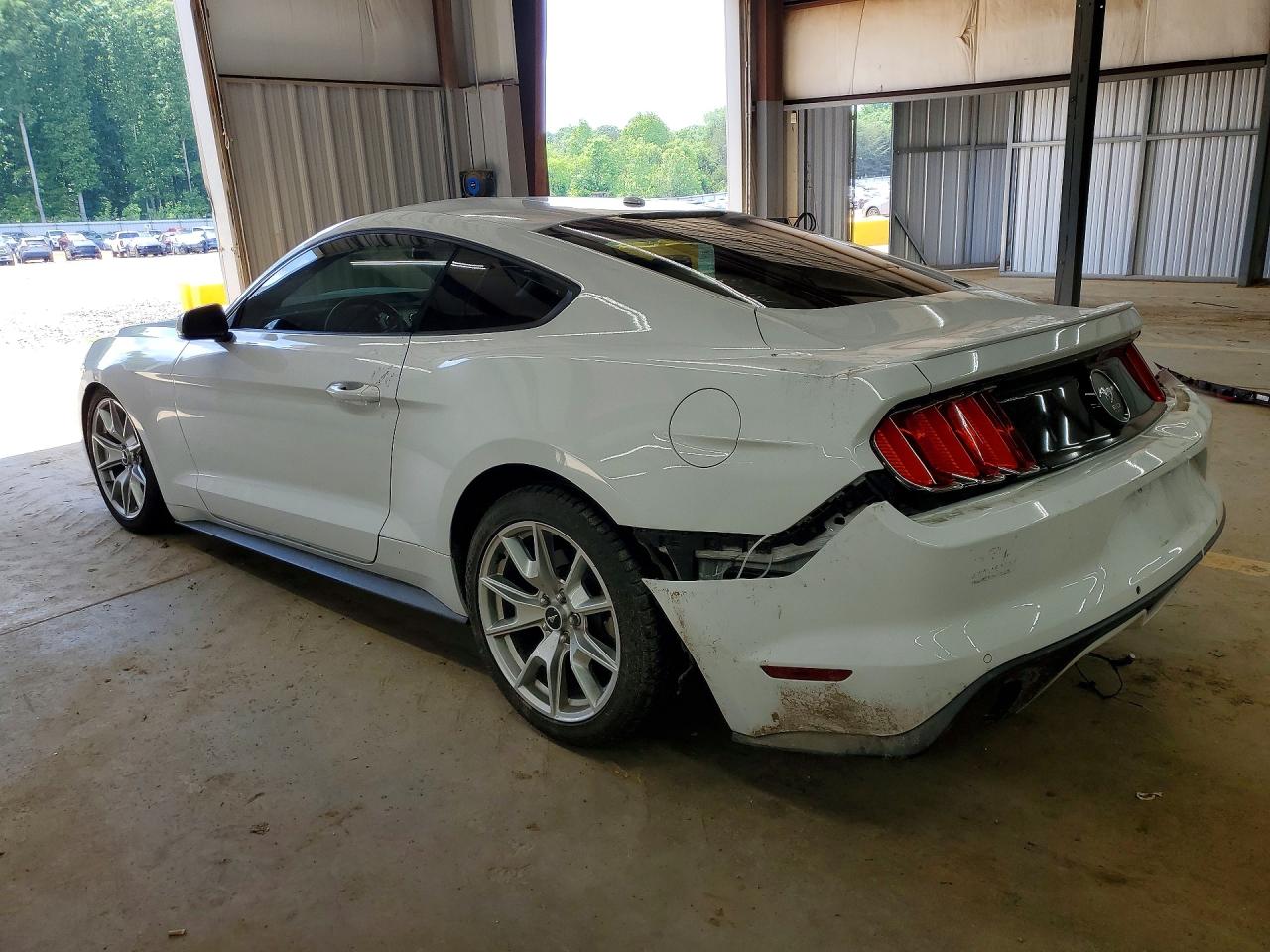 Ford Mustang 50th Anniversary