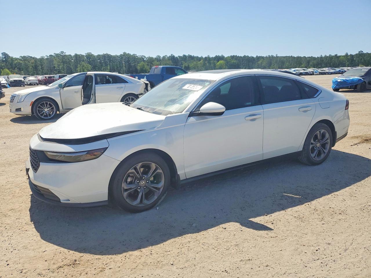 Salvage Honda Accord Image