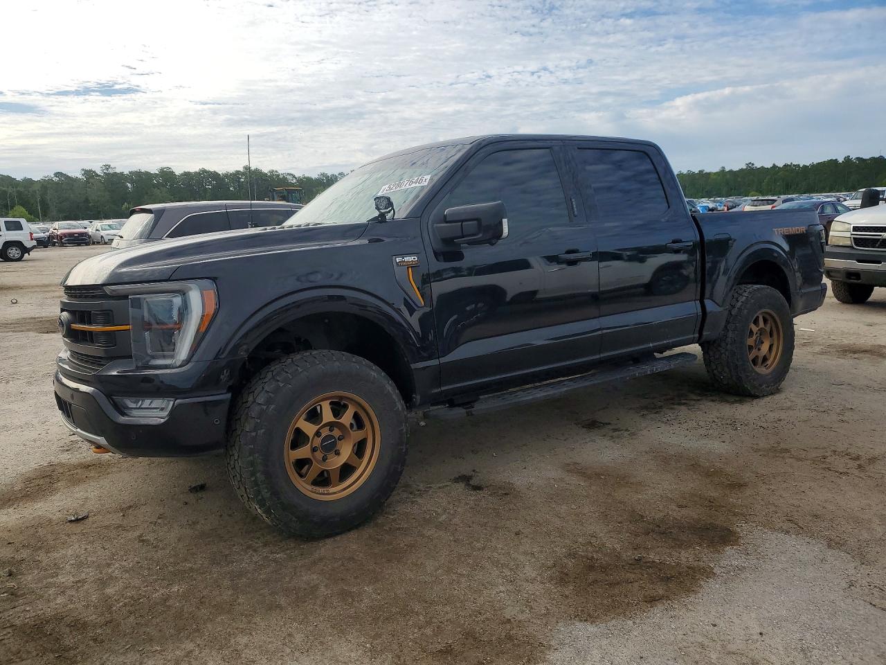 Salvage Ford F-150 Image