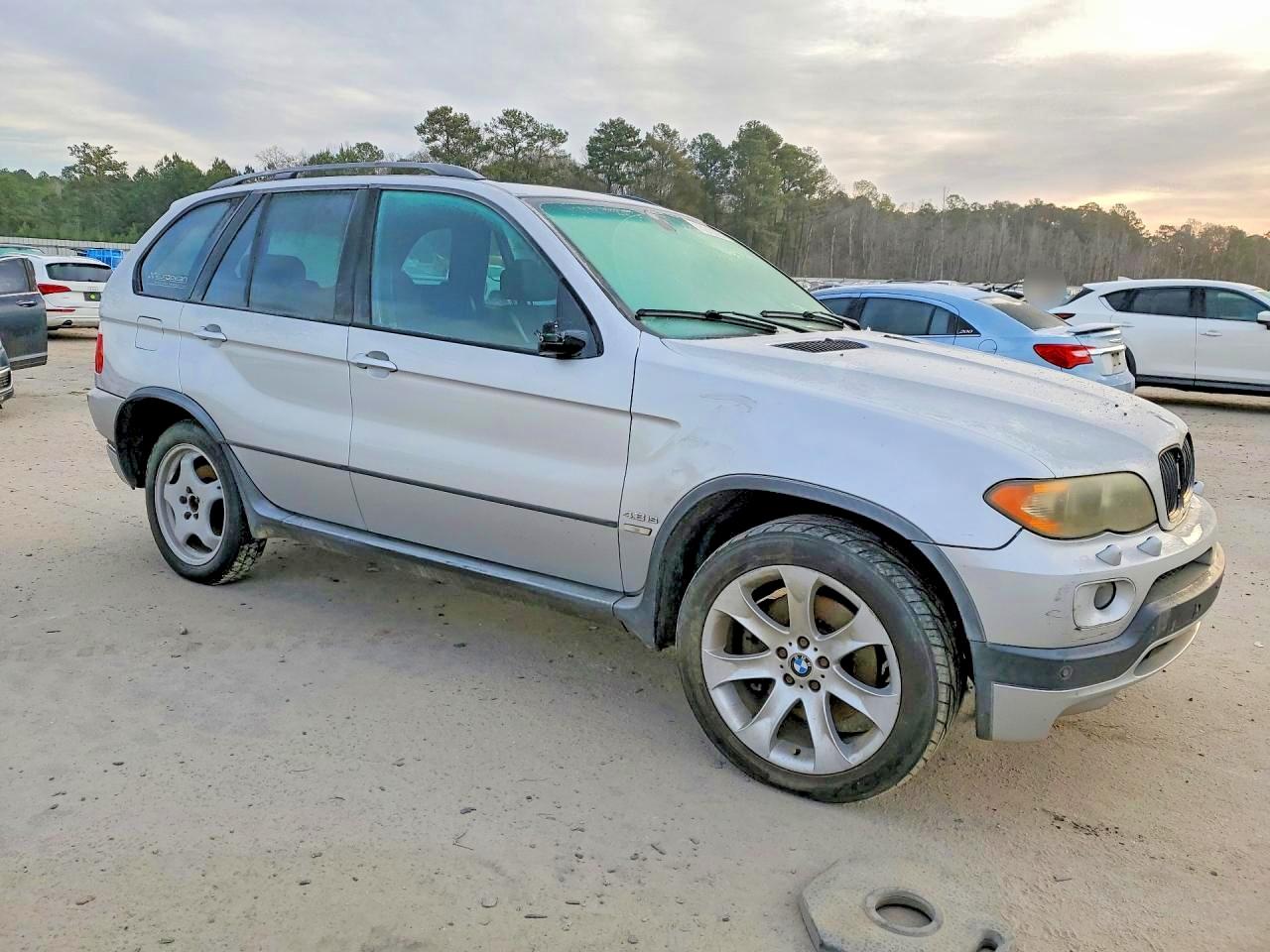BMW X Series 4.8is