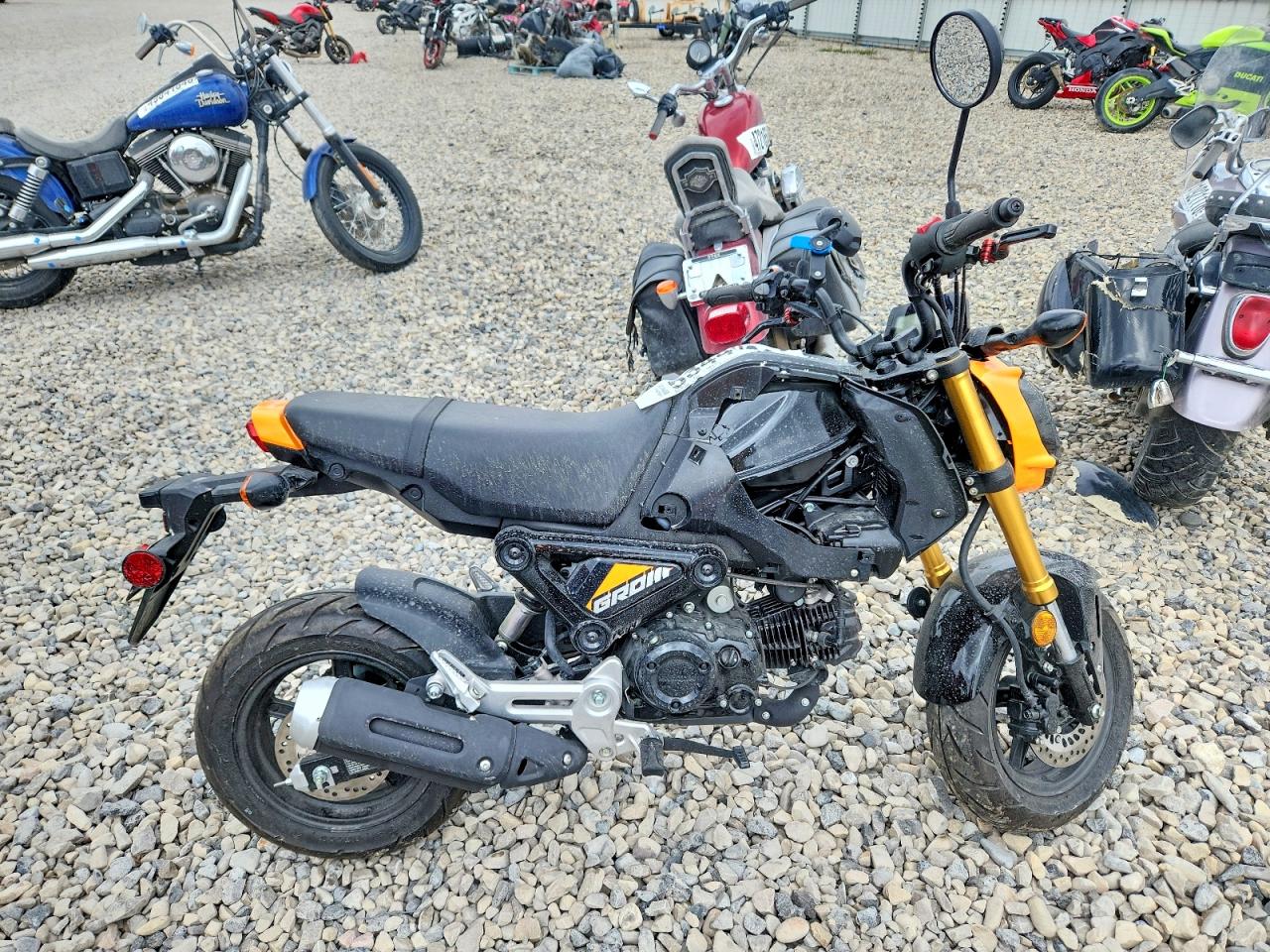 Salvage Honda Grom Image