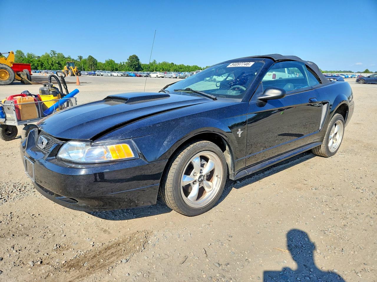 Salvage Ford Mustang Image