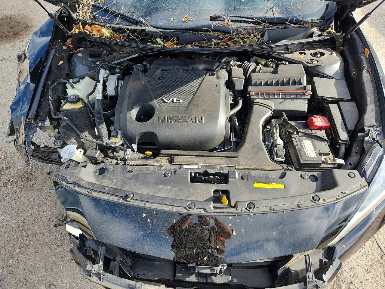 Nissan Maxima Sr