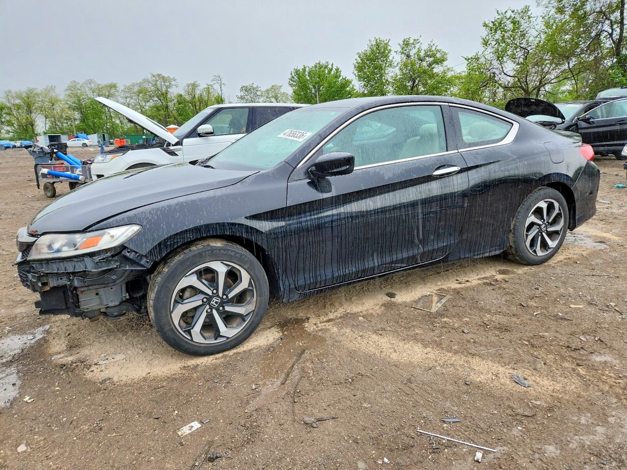Salvage Honda Accord Image