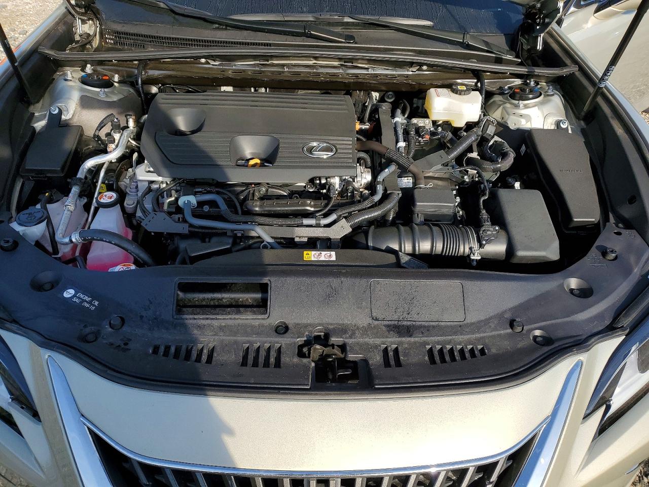 Lexus Es Base