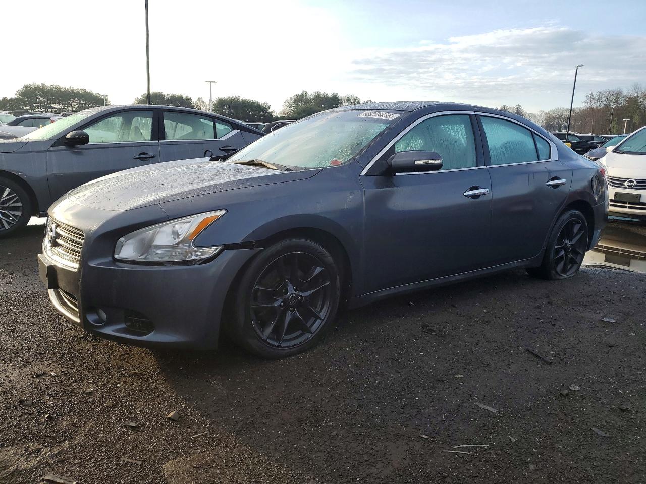 Salvage Nissan Maxima Image