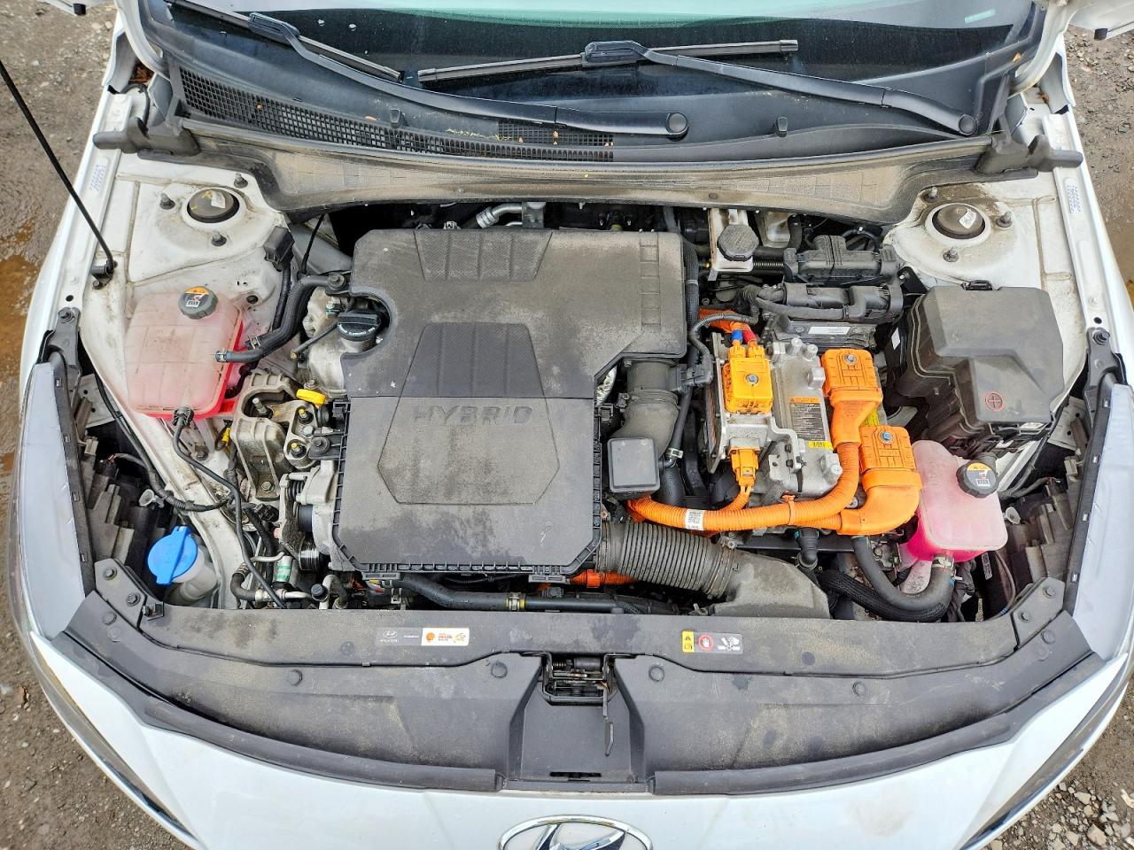 Hyundai ELANTRA Blue