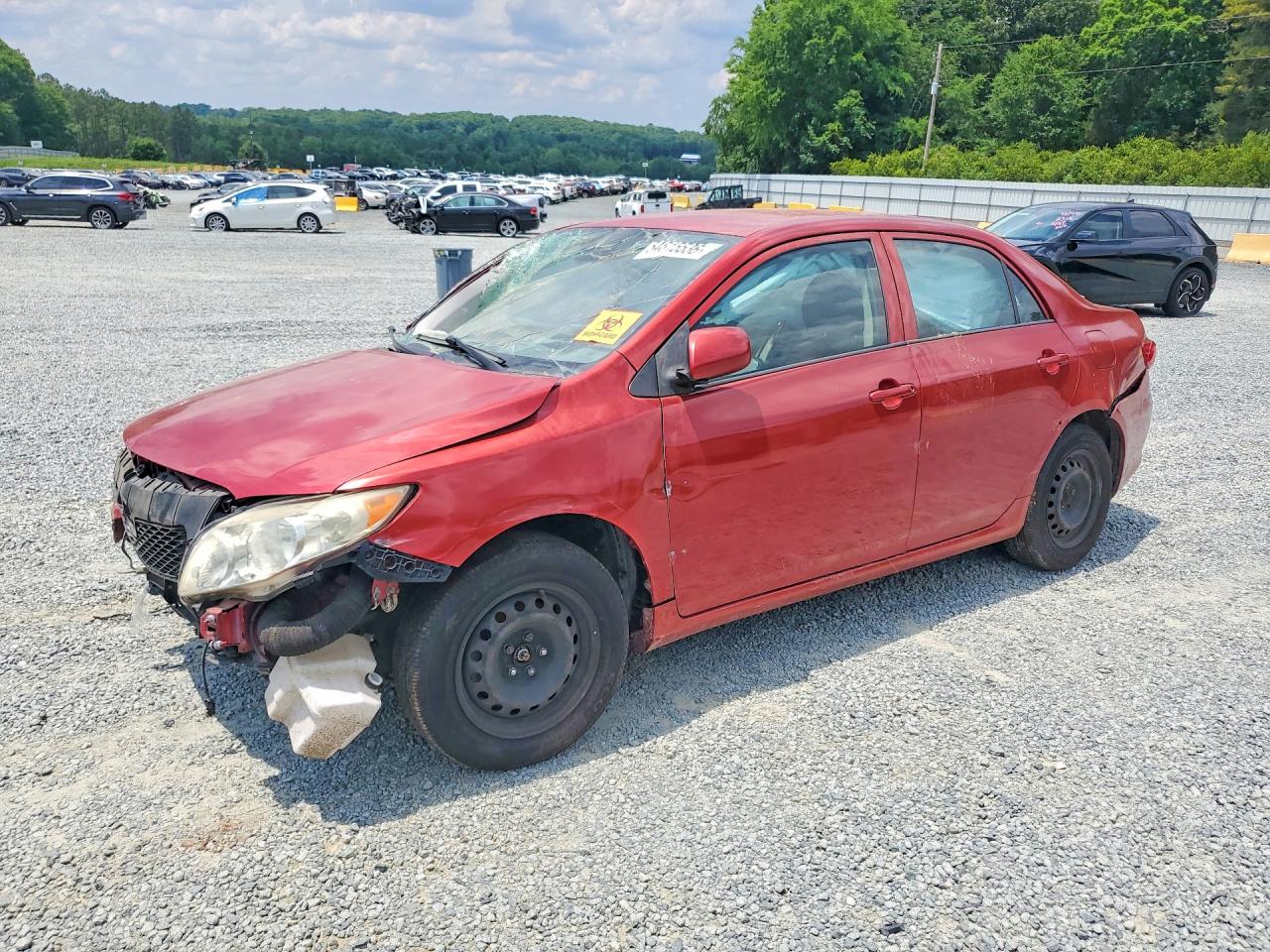 Salvage Toyota Corolla Image