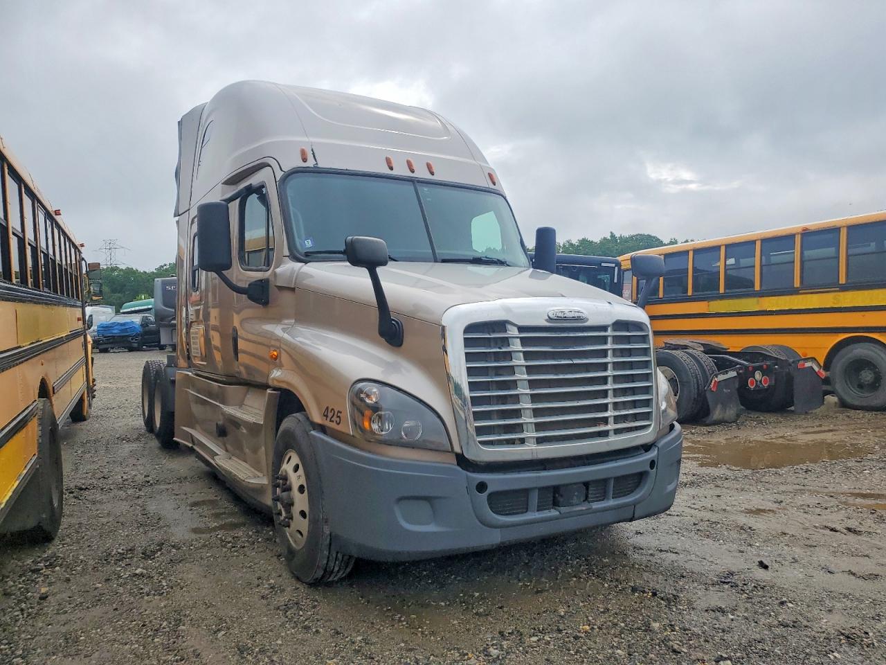 Salvage Freightliner Cascadia 125 Image