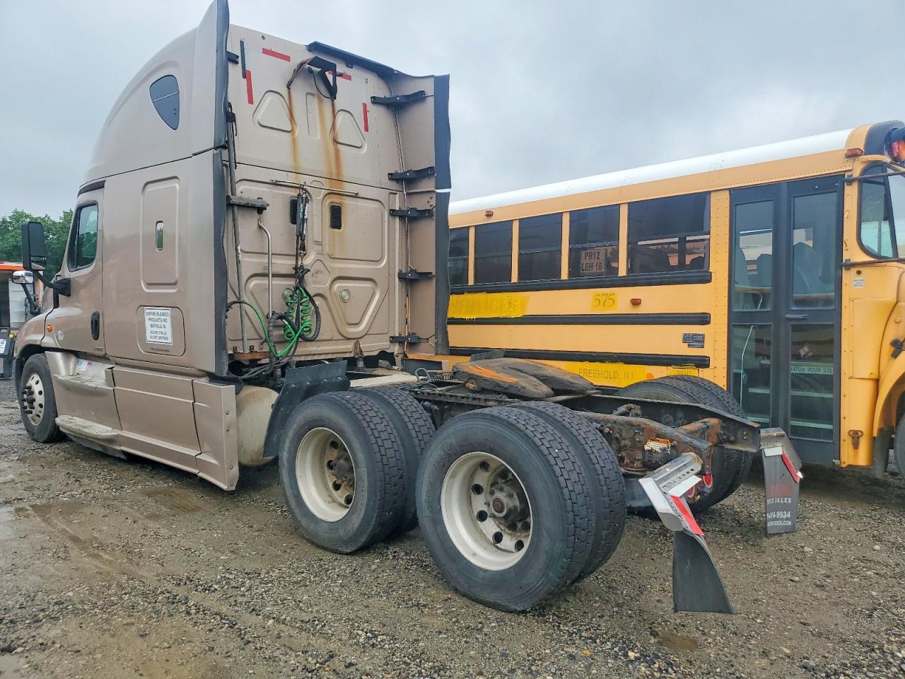 Freightliner Cascadia 125