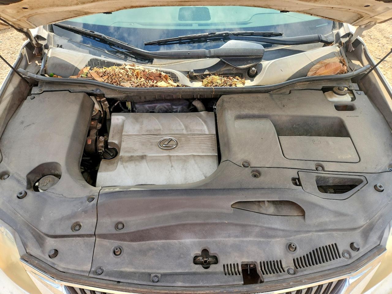 Lexus RX 350