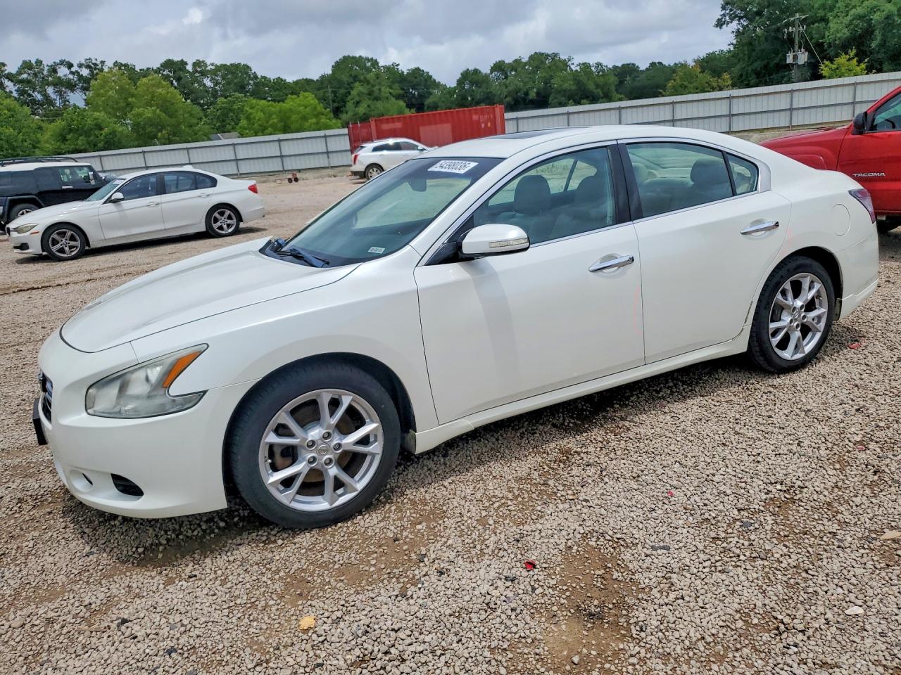 Salvage Nissan Maxima Image