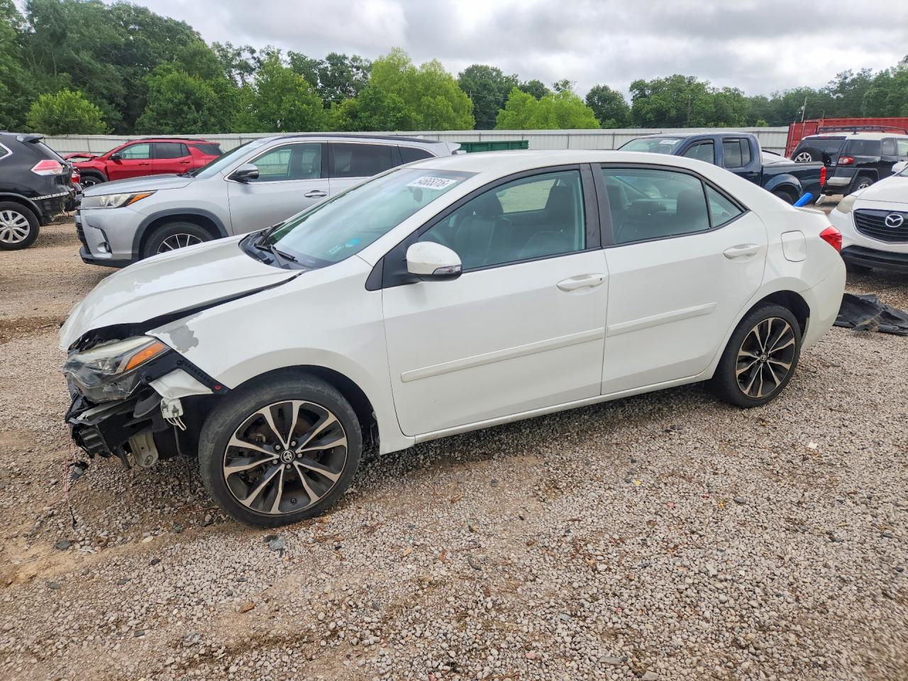Salvage Toyota Corolla Image