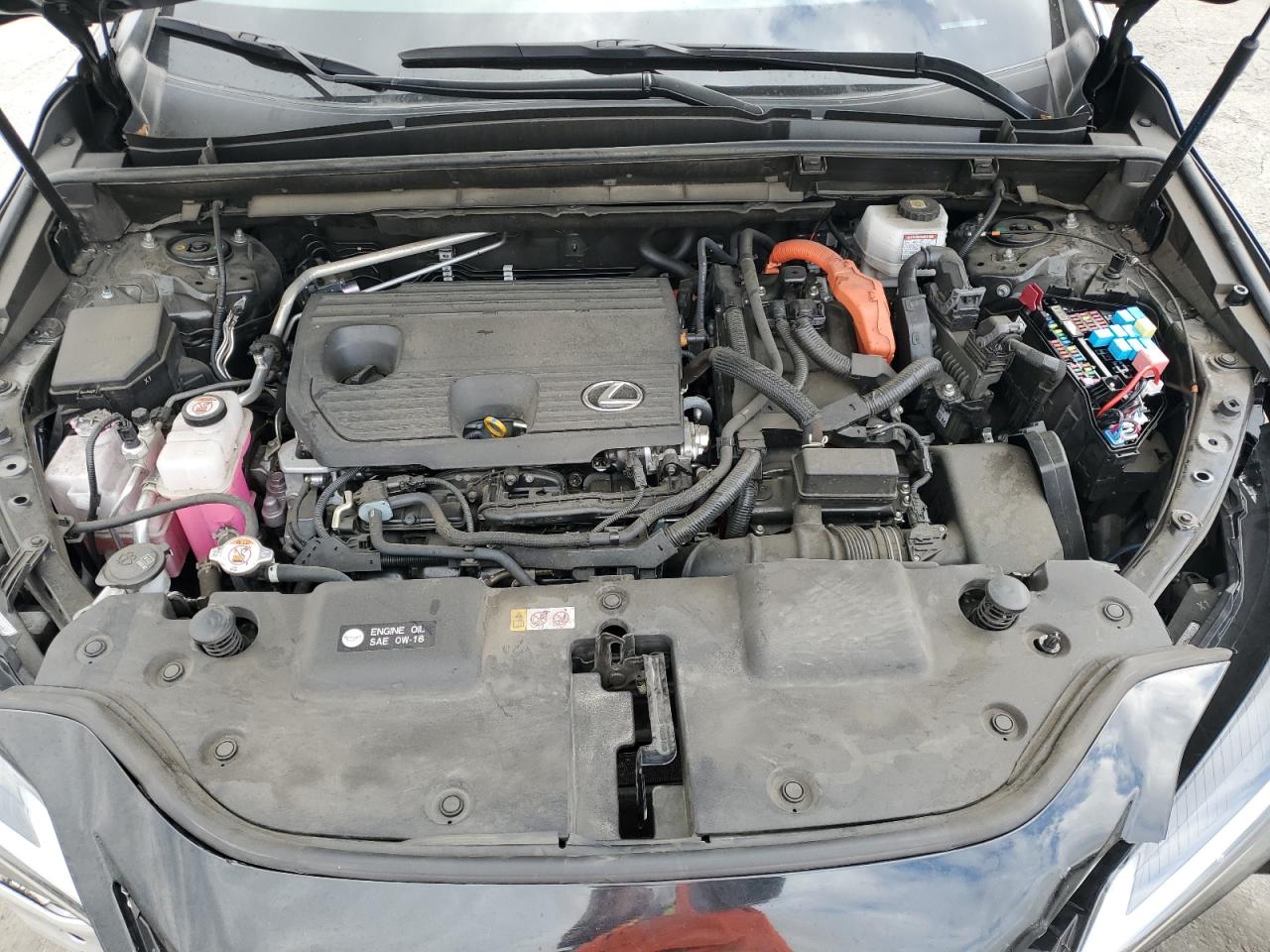 Lexus NX 350h Base