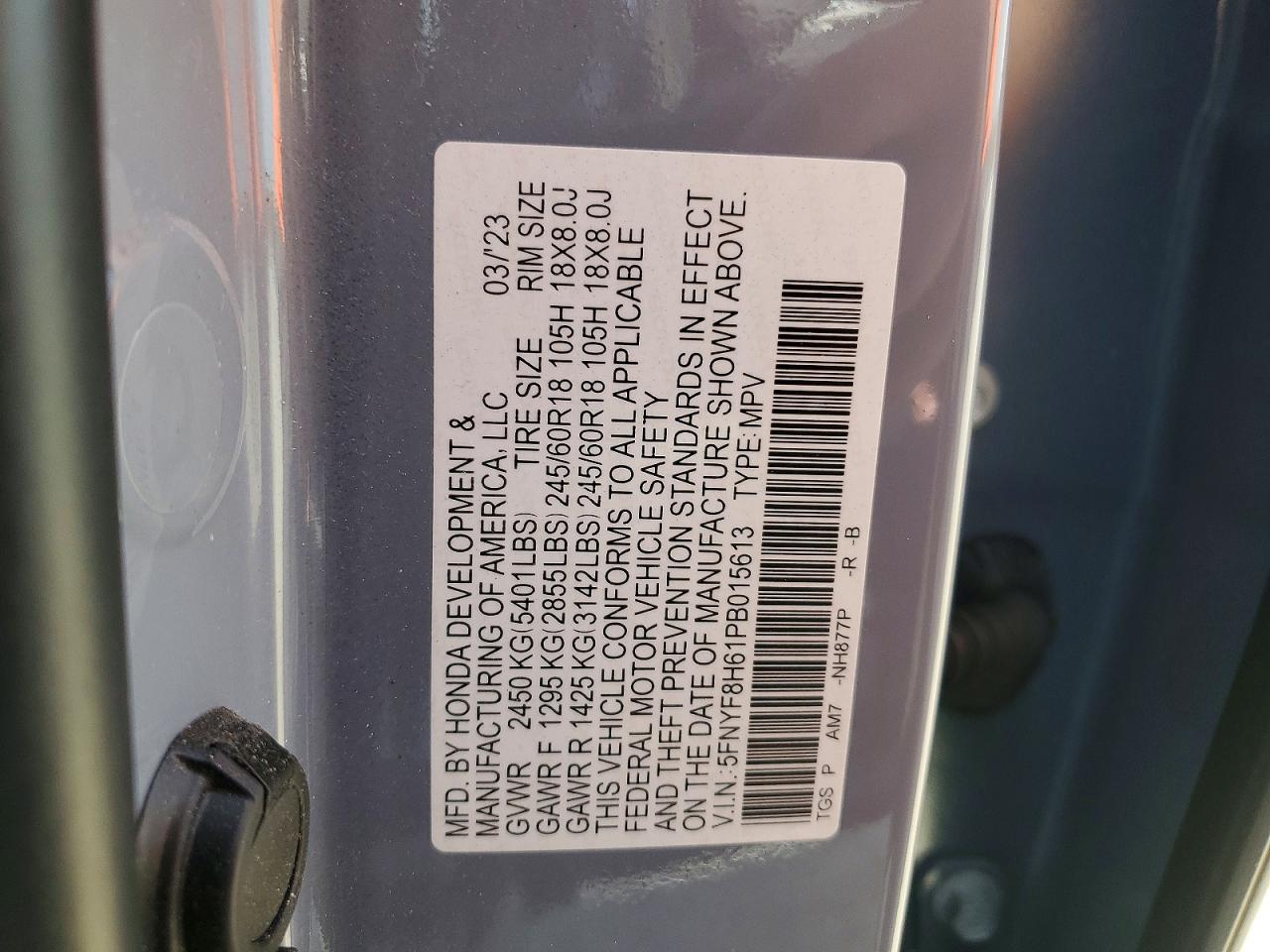 Honda Passport Trail Sport