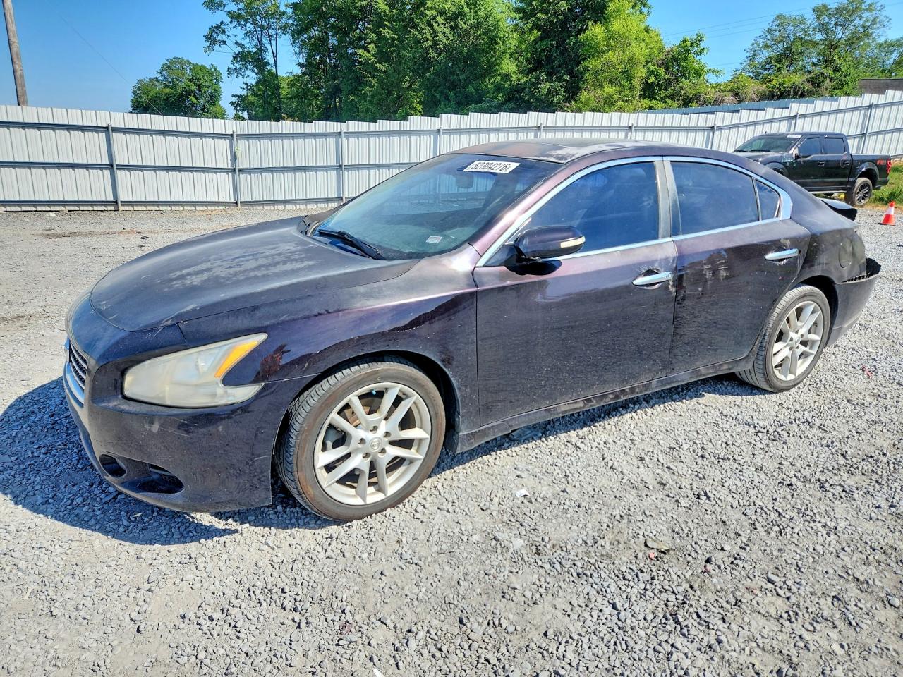 Salvage Nissan Maxima Image