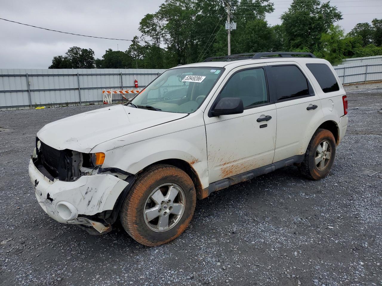 Salvage Ford Escape Image