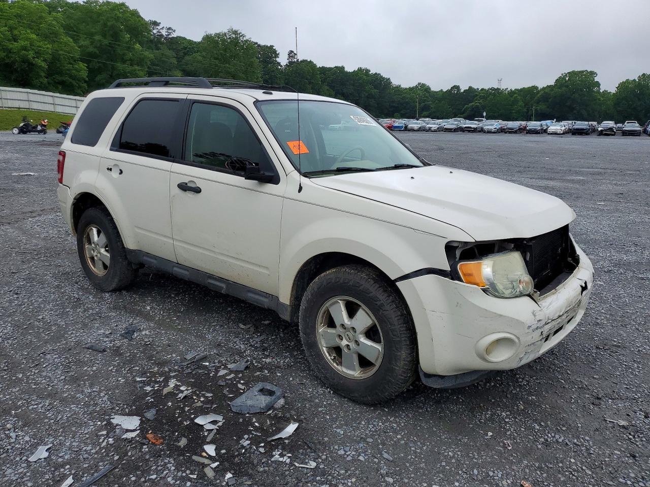 Ford Escape Xlt