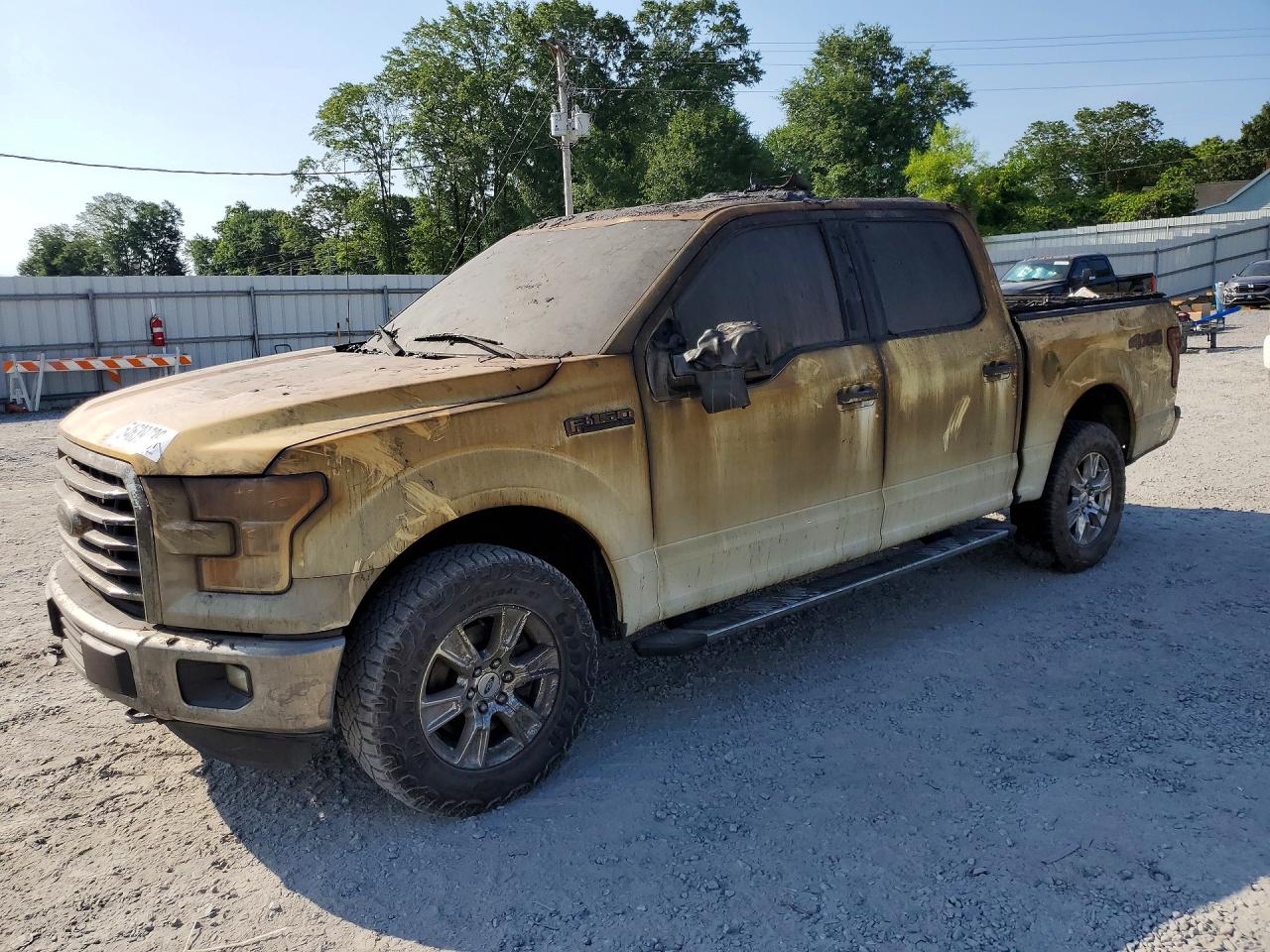 Salvage Ford F-150 Image