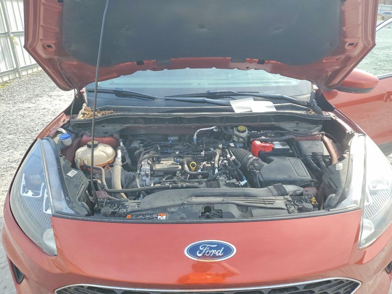 Ford Escape Se