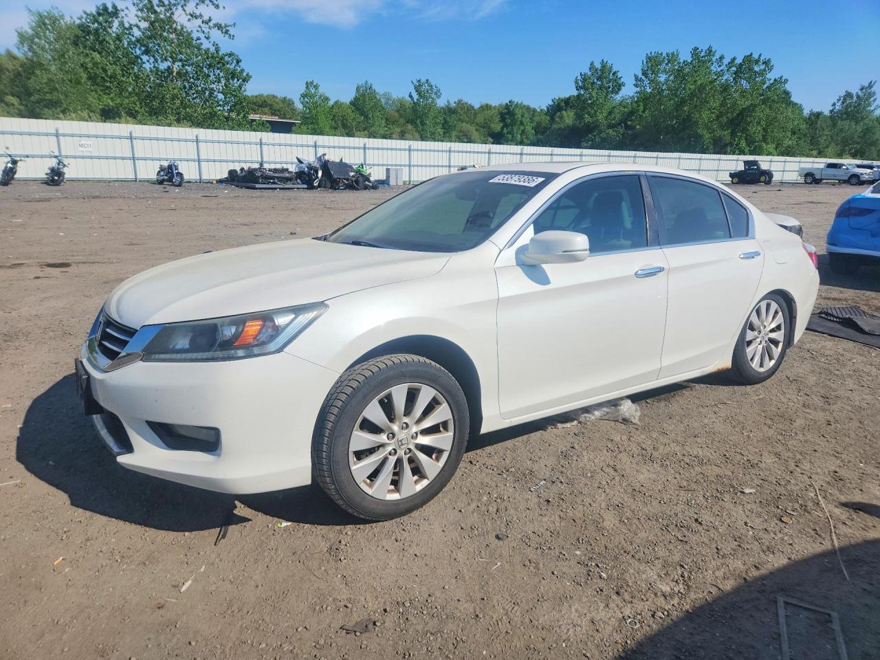 Salvage Honda Accord Image