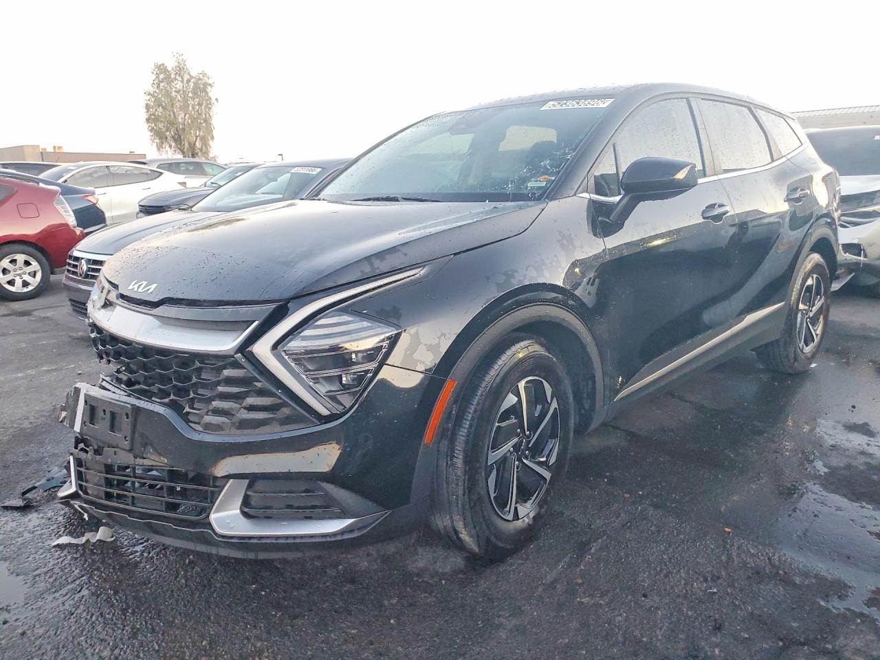Salvage Kia Sportage Image