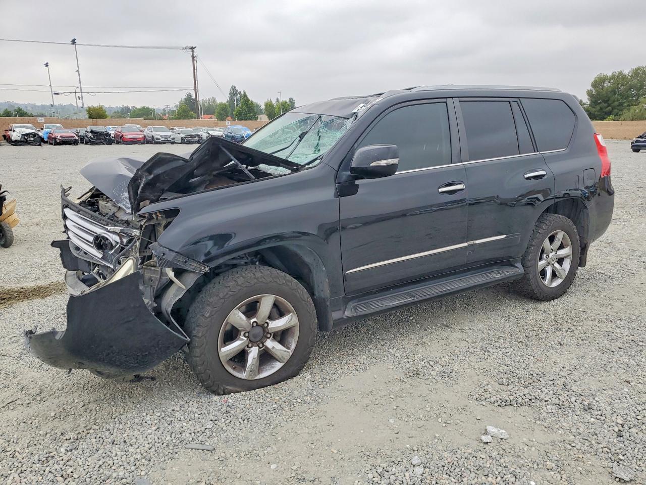 Salvage Lexus Gx Image