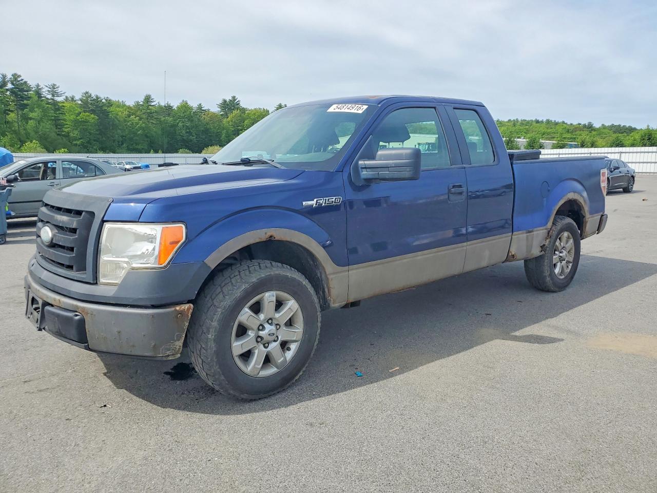 Salvage Ford F-150 Image