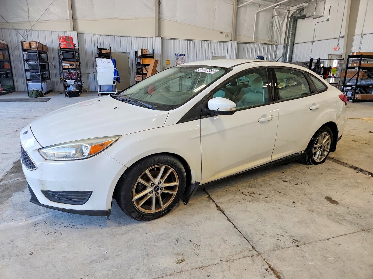 Salvage Ford Focus Image