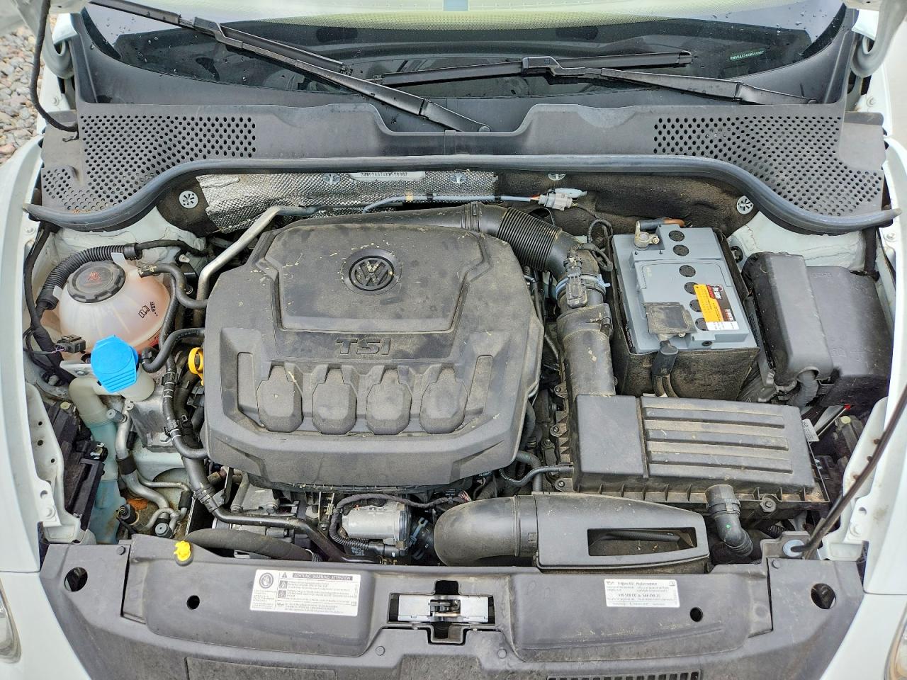 Volkswagen Beetle S
