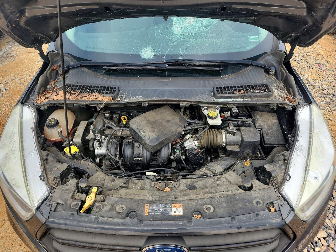 Ford Escape S